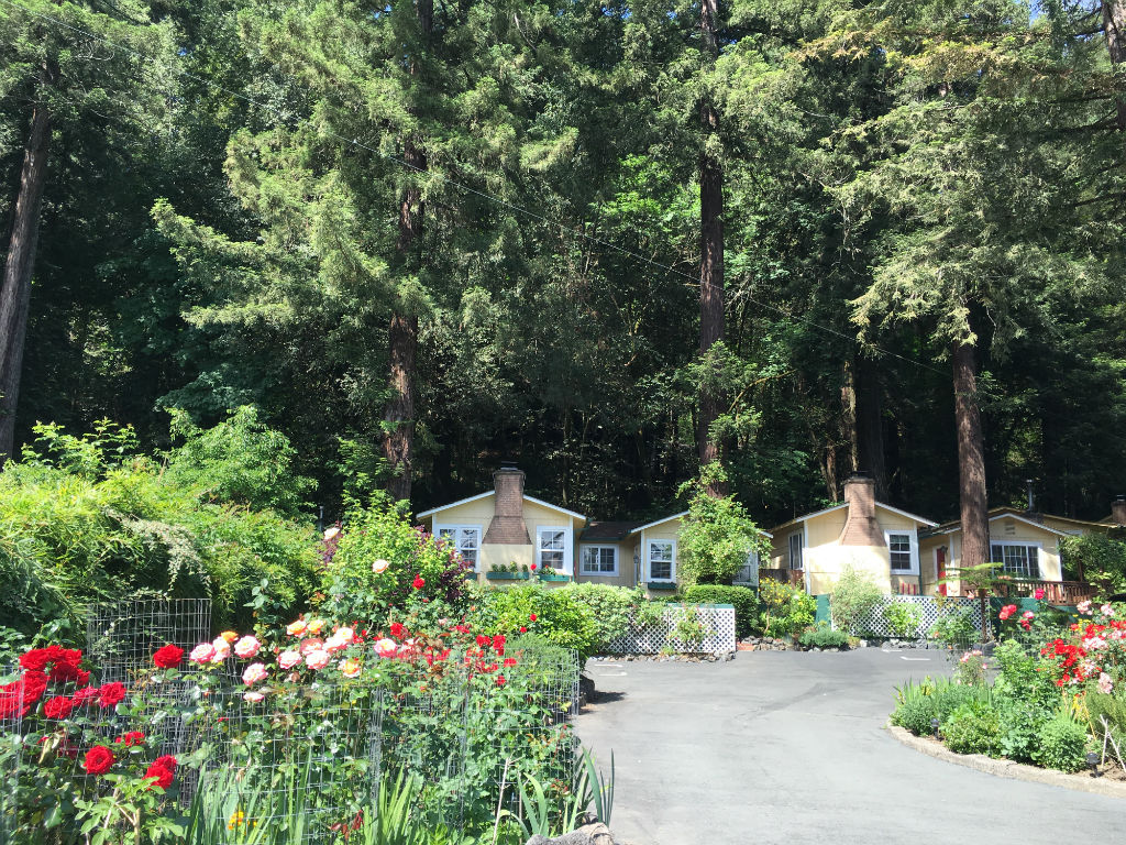 Ferngrove Cottages
